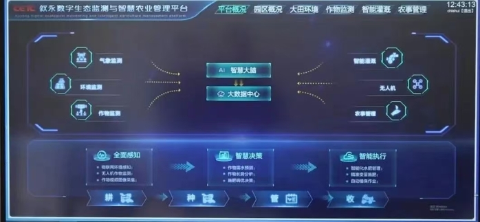 振興2